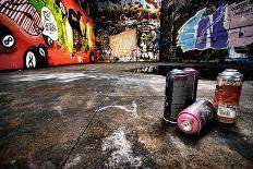 A Derelict Area Of Graffiti-sammyc-Photographic Print