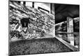 Photographic Print