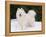 Samoyed Dog in Snow, USA-Lynn M. Stone-Framed Premier Image Canvas