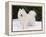 Samoyed Dog in Snow, USA-Lynn M. Stone-Framed Premier Image Canvas