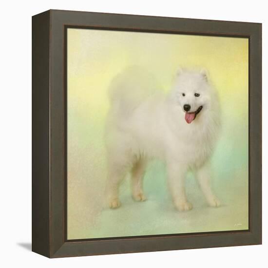 Samoyed in Spring-Jai Johnson-Framed Premier Image Canvas