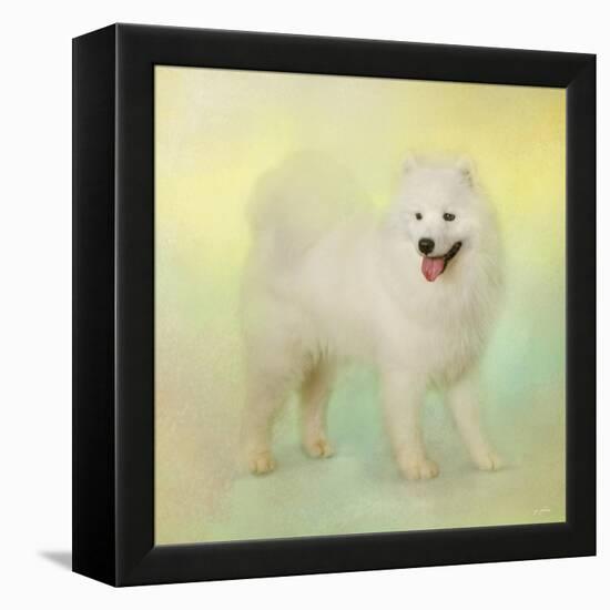 Samoyed in Spring-Jai Johnson-Framed Premier Image Canvas