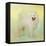 Samoyed in Spring-Jai Johnson-Framed Premier Image Canvas