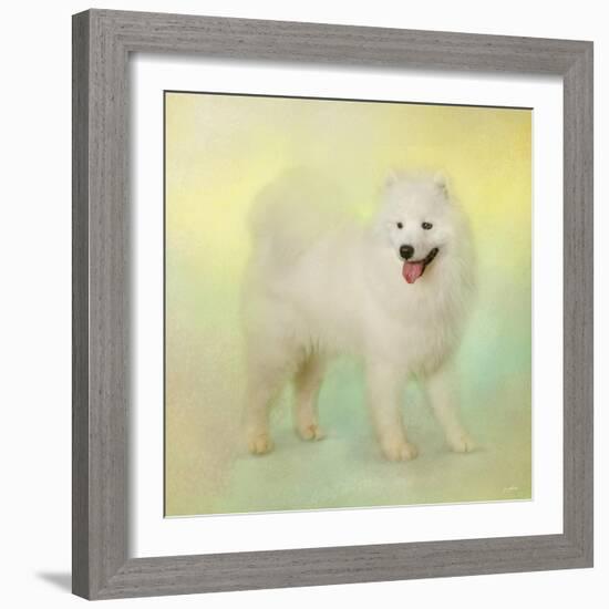 Samoyed in Spring-Jai Johnson-Framed Giclee Print