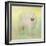 Samoyed in Spring-Jai Johnson-Framed Giclee Print