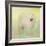 Samoyed in Spring-Jai Johnson-Framed Giclee Print