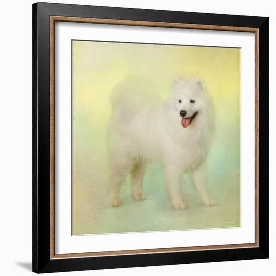 Samoyed in Spring-Jai Johnson-Framed Giclee Print