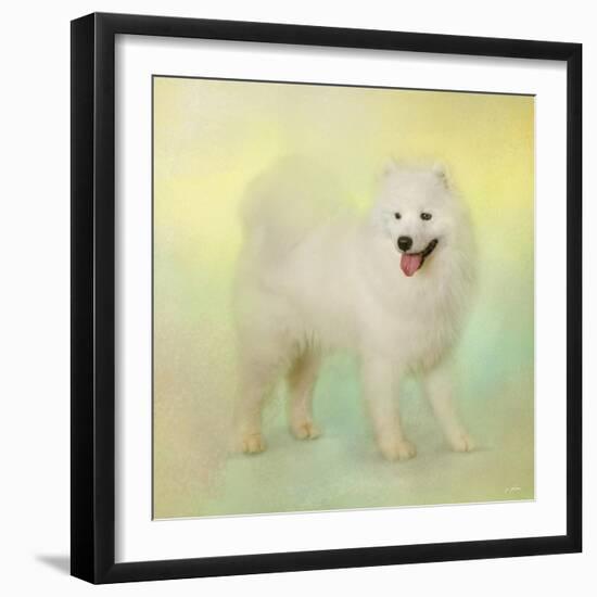 Samoyed in Spring-Jai Johnson-Framed Giclee Print