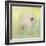 Samoyed in Spring-Jai Johnson-Framed Giclee Print