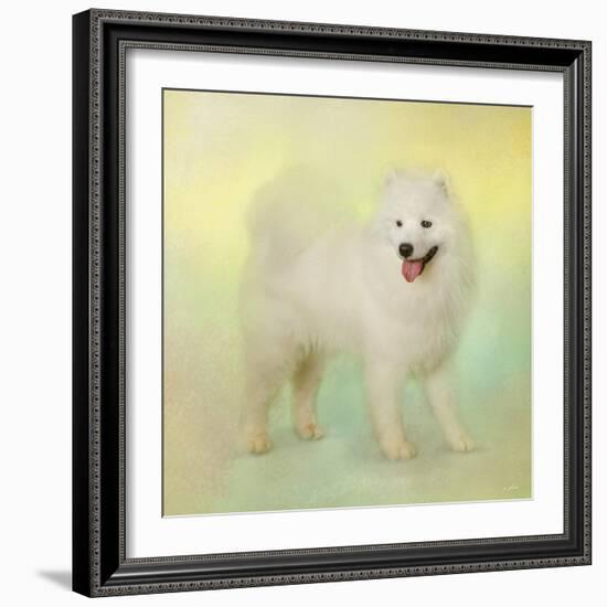 Samoyed in Spring-Jai Johnson-Framed Giclee Print