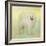 Samoyed in Spring-Jai Johnson-Framed Giclee Print