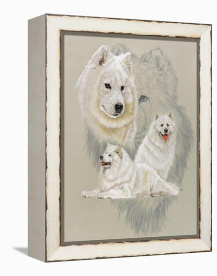 Samoyed-Barbara Keith-Framed Premier Image Canvas