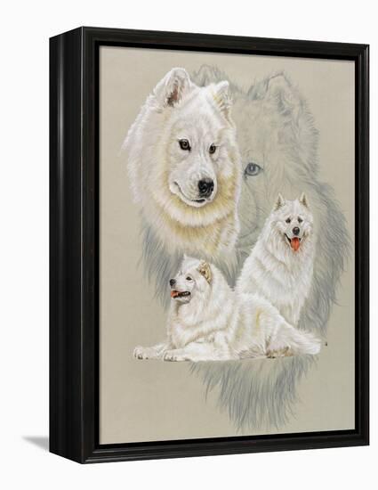 Samoyed-Barbara Keith-Framed Premier Image Canvas