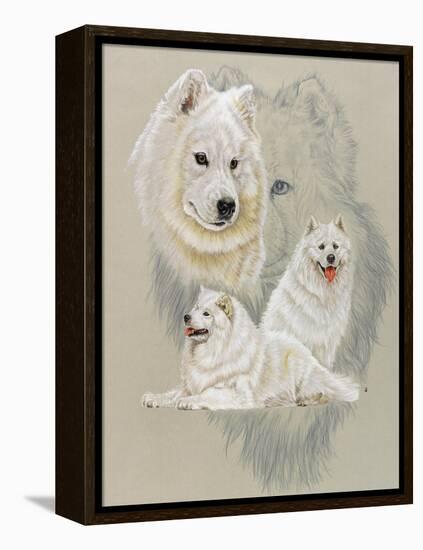 Samoyed-Barbara Keith-Framed Premier Image Canvas