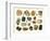 Samples of Gemstones-null-Framed Premium Giclee Print