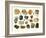 Samples of Gemstones-null-Framed Art Print