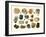 Samples of Gemstones-null-Framed Art Print