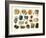 Samples of Gemstones-null-Framed Art Print