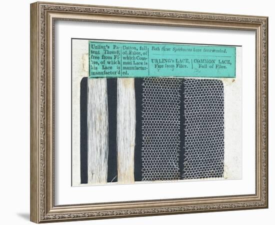 Samples of Urling's Lace-null-Framed Photographic Print