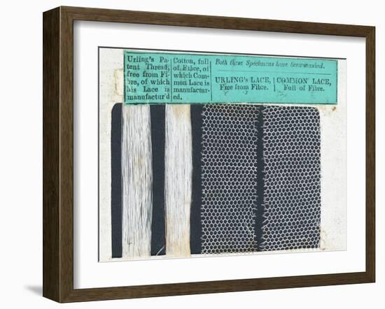 Samples of Urling's Lace-null-Framed Photographic Print