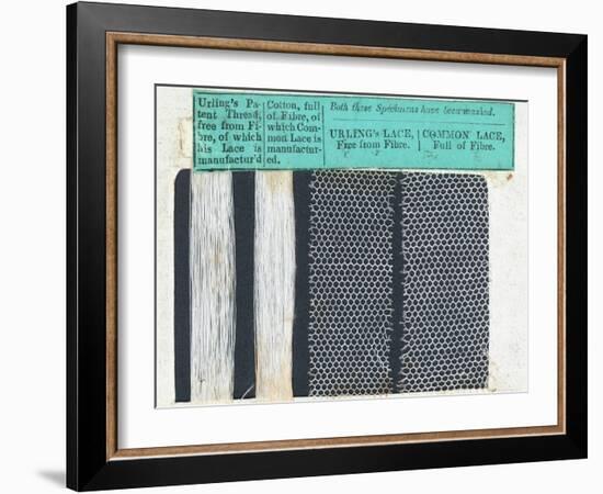 Samples of Urling's Lace-null-Framed Photographic Print