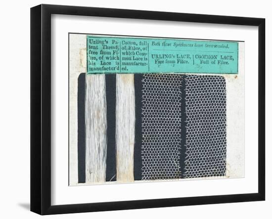 Samples of Urling's Lace-null-Framed Photographic Print