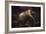 Samson and the Lion-Luca Giordano-Framed Giclee Print