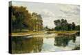 Stretched Canvas Print