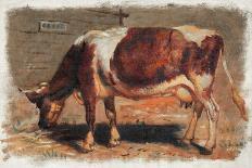 Colman Color Study of Cows II-Samuel Colman-Framed Art Print