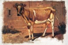 Colman Cow Portrait Study II-Samuel Colman-Art Print
