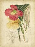 Delicate Botanical I-Samuel Curtis-Art Print