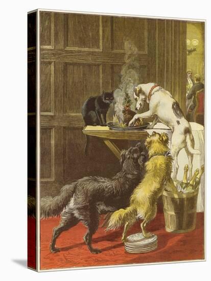 Stretched Canvas Print, , large