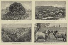 The Zulu War-Samuel Edmund Waller-Giclee Print