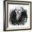 Samuel Hahnemann, German Physician-Science Photo Library-Framed Photographic Print