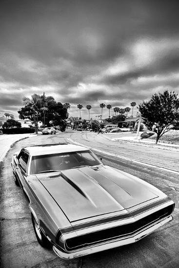 Photographic Print, , large