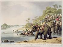 Chasing a Tiger across a River, from "Oriental Field Sports", Pub. by Edward Orme, 1807-Samuel Howett-Framed Giclee Print