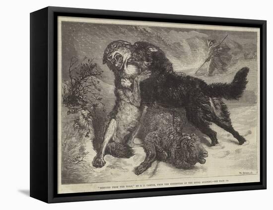 Stretched Canvas Print, , large