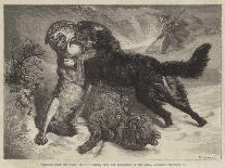 Rescued from the Wolf-Samuel John Carter-Framed Giclee Print
