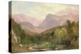 Stretched Canvas Print