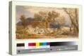 Stretched Canvas Print
