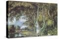 Stretched Canvas Print