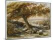 Giclee Print