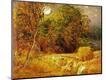 Premium Giclee Print