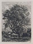 Old Cedar Tree in Botanic Garden, Chelsea, 1854 (Pencil on Paper)-Samuel Palmer-Giclee Print