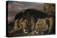Stretched Canvas Print