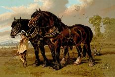 Clydesdale Stallion and Mare-Samuel Sidney-Art Print