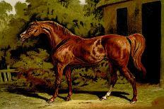 Thoroughbred Mare and Foal-Samuel Sidney-Art Print