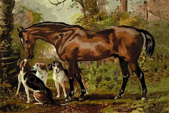 Art Print, , large