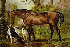 Clydesdale Stallion and Mare-Samuel Sidney-Art Print