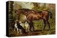 Stretched Canvas Print